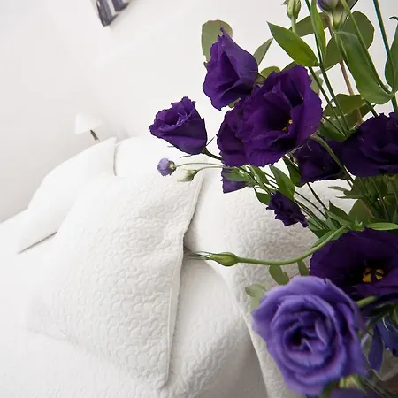 Apartment Apartment Very Close To S Peter Square, Few Minutes Walk To Metro A *